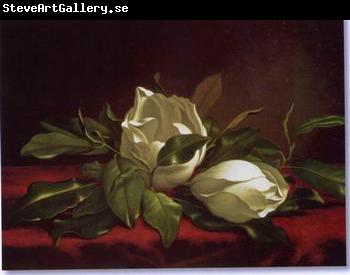 unknow artist Still life floral, all kinds of reality flowers oil painting 29